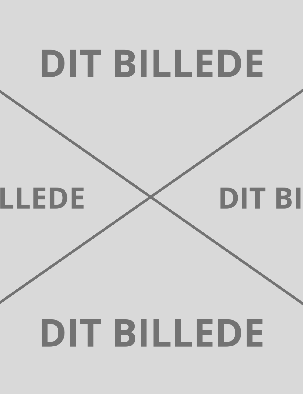 DIT BILLEDE-2